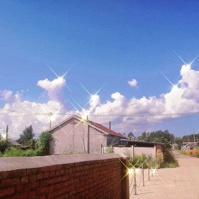 天界元尊游戏下载